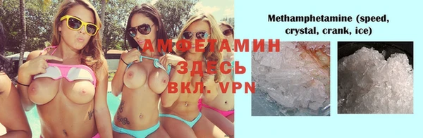 мяу мяу мука Елабуга