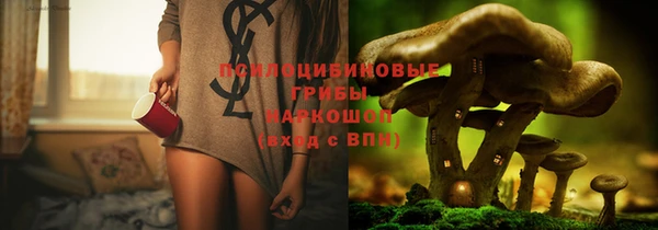 кокс Ельня