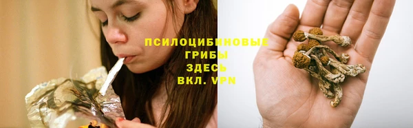 мяу мяу мука Елабуга