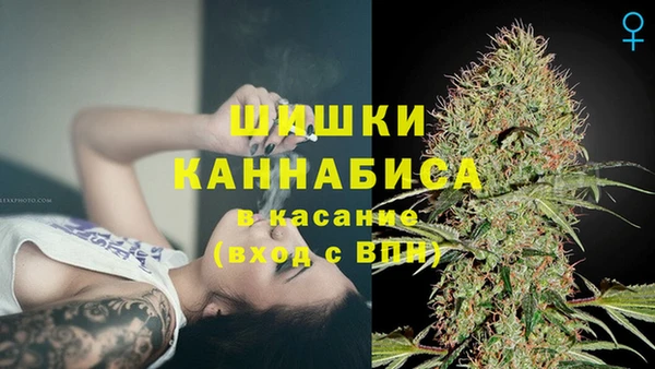 кокс Ельня