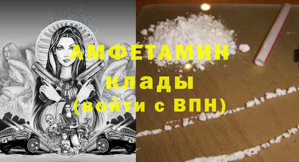кокс Ельня