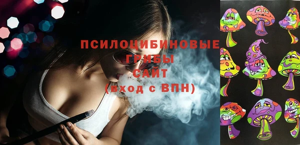 кокс Ельня
