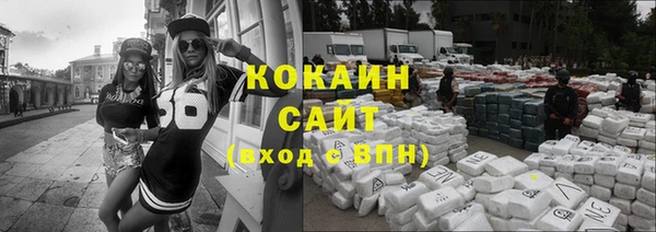 кокс Ельня