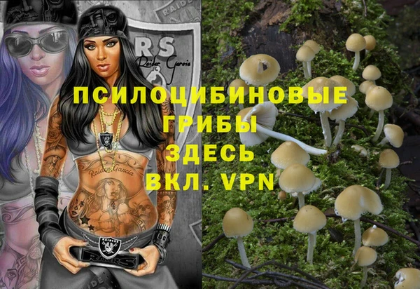 мяу мяу мука Елабуга