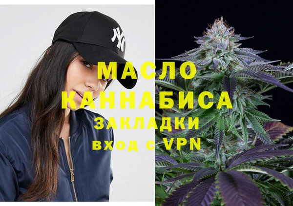 кокс Ельня