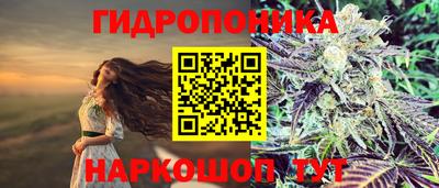jwh Дубна