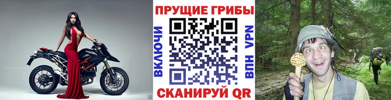 даркнет Telegram  Карпинск  Псилоцибиновые грибы GOLDEN TEACHER 