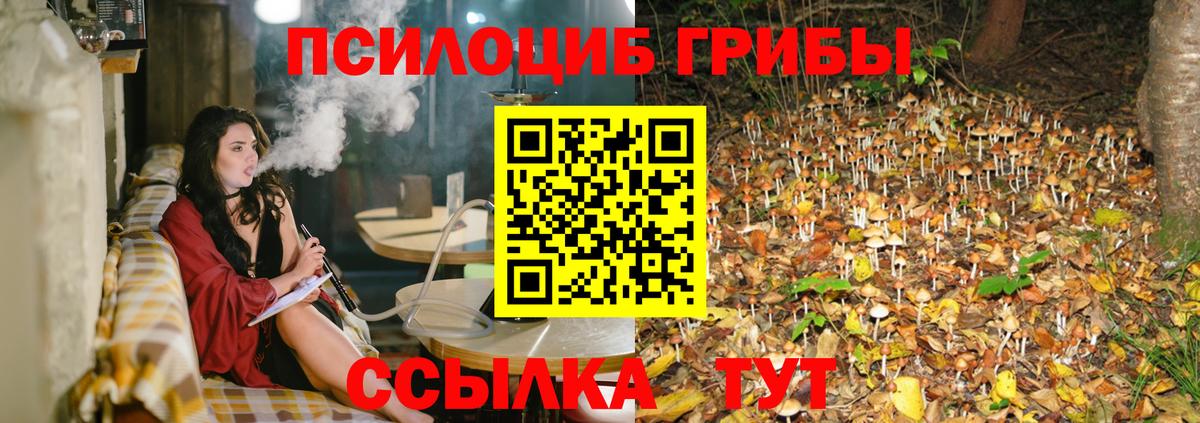 Псилоцибиновые грибы Psilocybe  Вход с VPN  Псилоцибиновые грибы мухоморы  Карпинск 