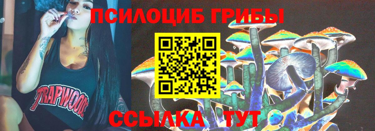 Галлюциногенные грибы прущие грибы Карпинск