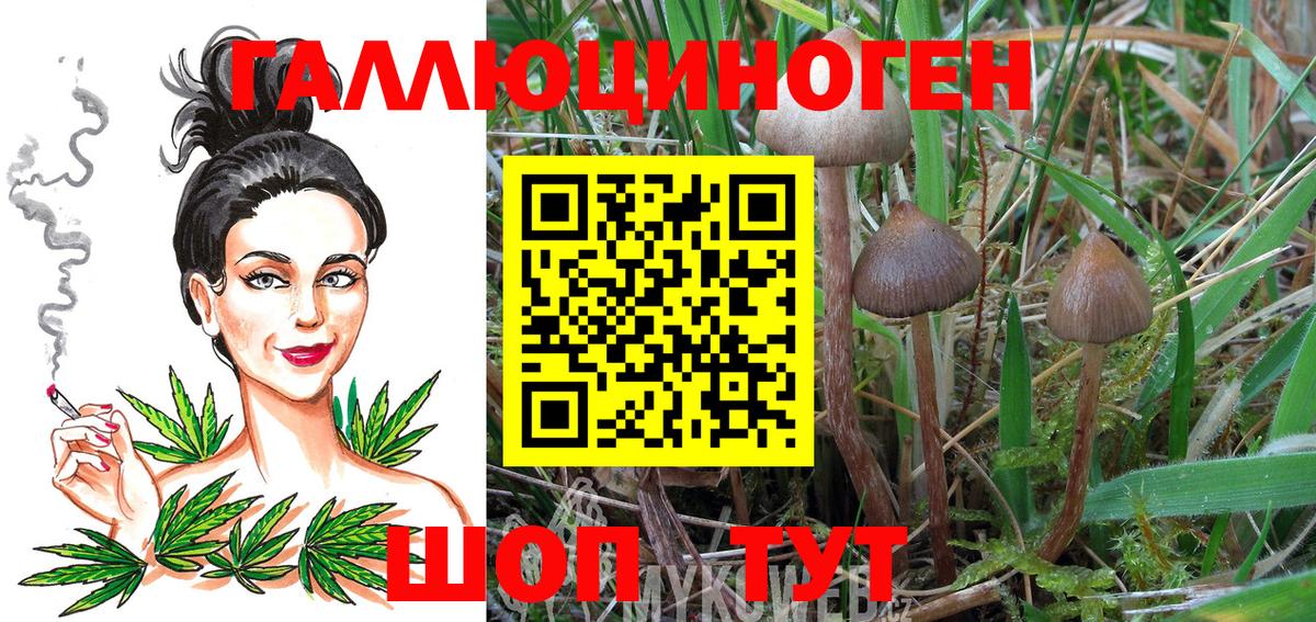 Галлюциногенные грибы MAGIC MUSHROOMS Карпинск